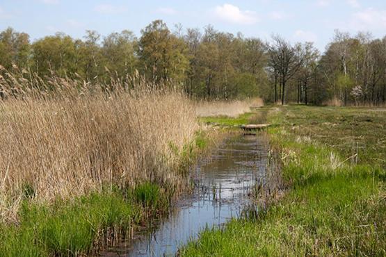 Nieuw: Kom in de Bedstee Uniek! Winterswijk Exterior foto